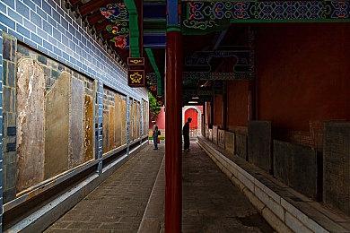 EA否认进军NFT领域 将专注为玩家提供最佳游戏体验